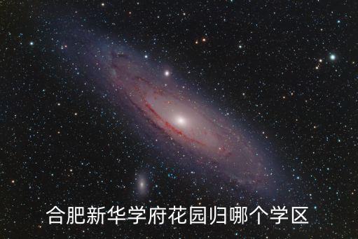合肥新华学府花园归哪个学区