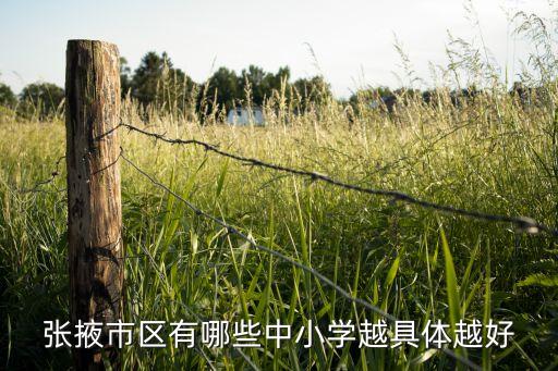 张掖市区有哪些中小学越具体越好