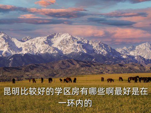 昆明比较好的学区房有哪些啊最好是在一环内的