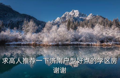 求高人推荐一下济南户型好点的学区房谢谢