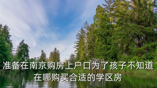准备在南京购房上户口为了孩子不知道在哪购买合适的学区房