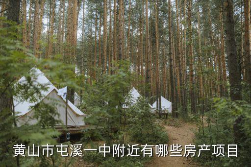 黄山市屯溪一中附近有哪些房产项目