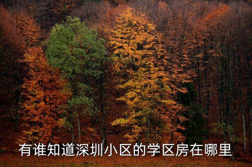 保利观堂学区房上哪个，请教小学择校和买哪个学区房的问题请千帆老师指点