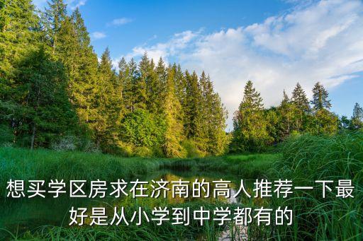 想买学区房求在济南的高人推荐一下最好是从小学到中学都有的