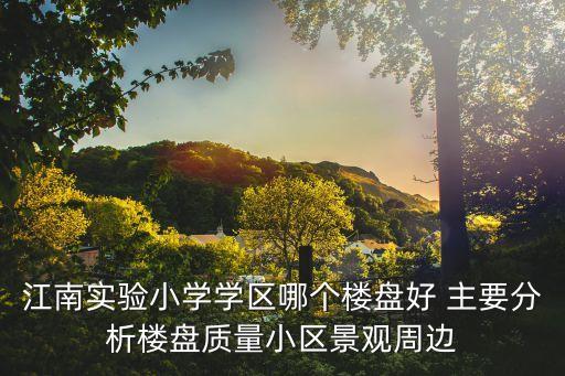 江南实验小学学区哪个楼盘好 主要分析楼盘质量小区景观周边