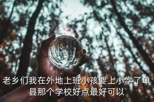 老乡们我在外地上班小孩要上小学了单县那个学校好点最好可以