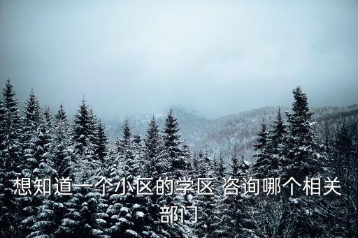 想知道一个小区的学区 咨询哪个相关部门