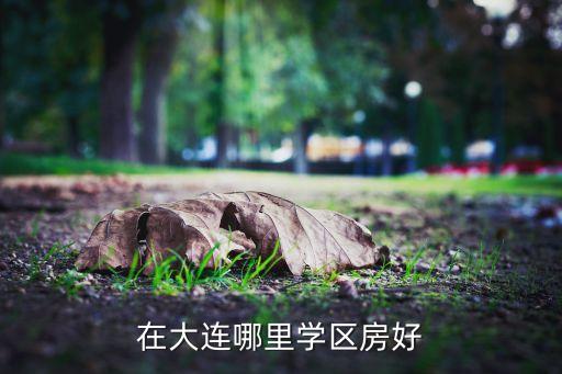 在大连哪里学区房好