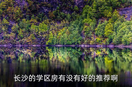长沙的学区房有没有好的推荐啊