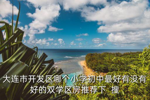 大连市开发区哪个小学初中最好有没有好的双学区房推荐下  搜