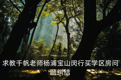 求教千帆老师杨浦宝山闵行买学区房问题纠结