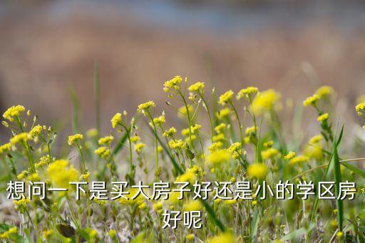 想问一下是买大房子好还是小的学区房好呢