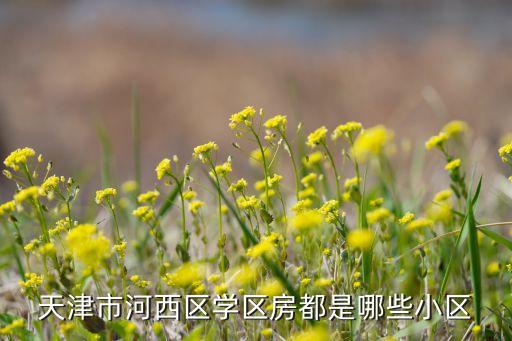 天津天骄园属于哪个学区房，家住天骄国际请问小孩在哪里读小学
