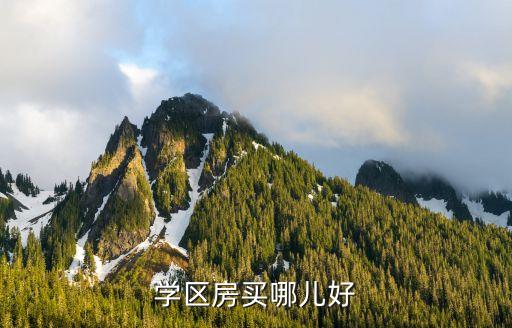 新华区学区房哪个小区好，想在成都市中心买个学区房哪个楼盘最好