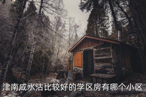 津南咸水沽比较好的学区房有哪个小区