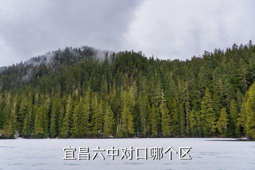 宜昌六中对口哪个区