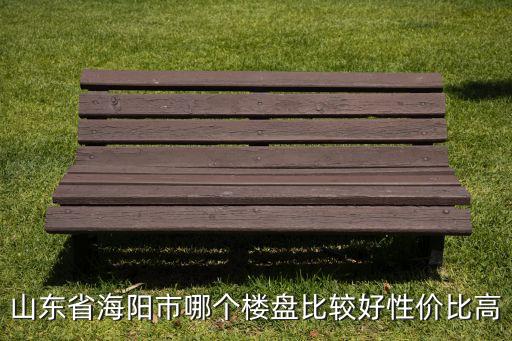 山东省海阳市哪个楼盘比较好性价比高