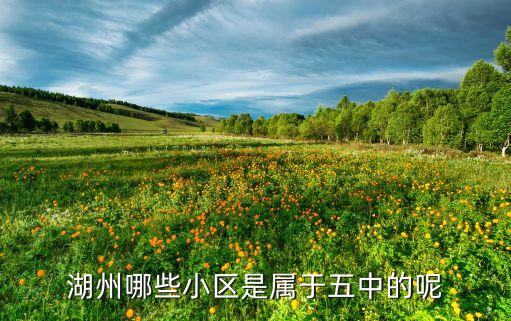 湖州哪些小区是属于五中的呢
