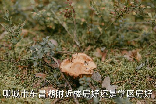 东昌哪个房源最好学区房好，学区房买哪儿好