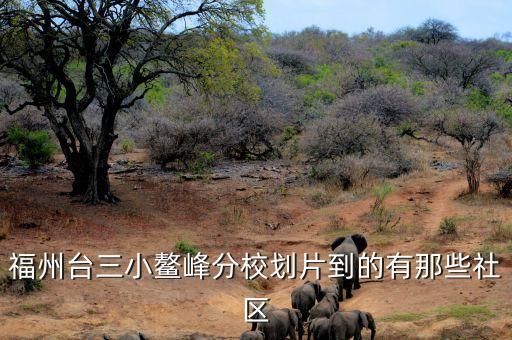 福州台三小鳌峰分校划片到的有那些社区