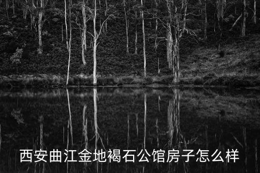 西安曲江金地褐石公馆房子怎么样