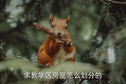 求教学区房是怎么划分的