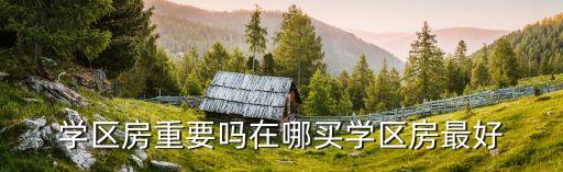 学区房重要吗在哪买学区房最好