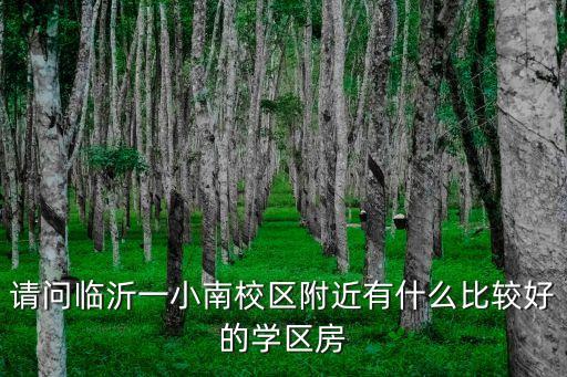 请问临沂一小南校区附近有什么比较好的学区房