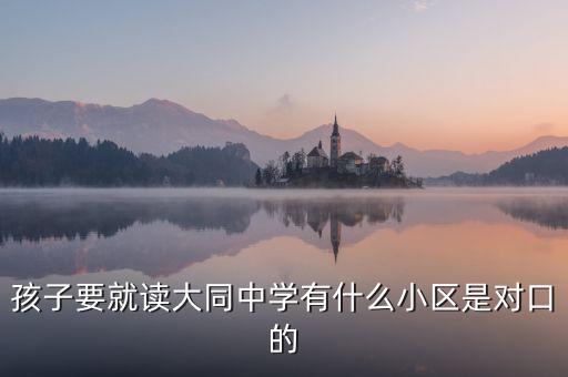 孩子要就读大同中学有什么小区是对口的