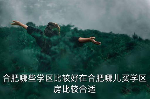 合肥庐江哪个学区房好，孩子马上上小学合肥哪里有相对好的学区房最好小学初中离家近
