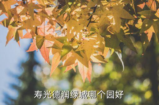 寿光德润绿城哪个园好