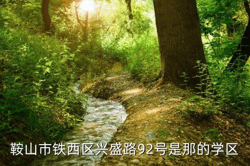 铁西哪个地方是学区房了，鞍山市铁西区兴盛路92号是那的学区
