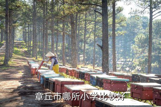 章丘市哪所小学比较好