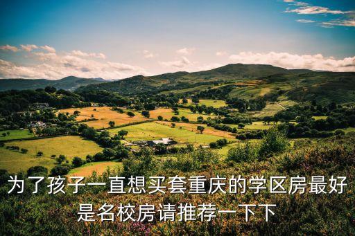 为了孩子一直想买套重庆的学区房最好是名校房请推荐一下下