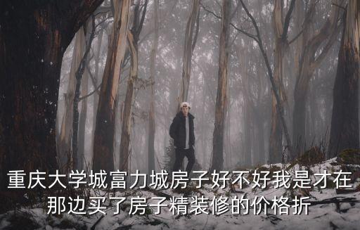 富力城属于哪个学区房，富力城算南市二手房吗好像是中营小学片儿的