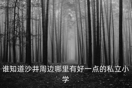 谁知道沙井周边哪里有好一点的私立小学