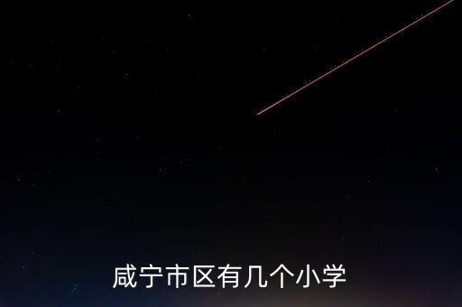 咸宁市区有几个小学