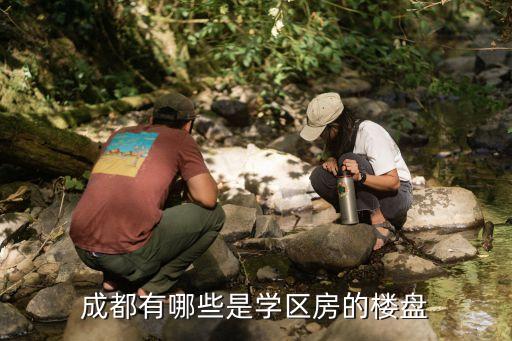 成都有哪些是学区房的楼盘