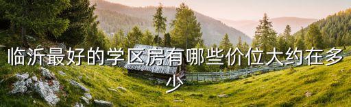 临沂最好的学区房有哪些价位大约在多少