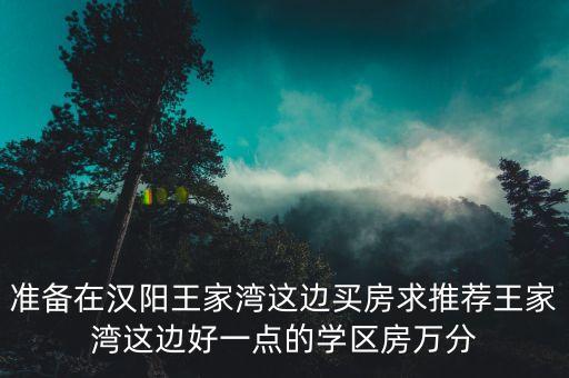 准备在汉阳王家湾这边买房求推荐王家湾这边好一点的学区房万分