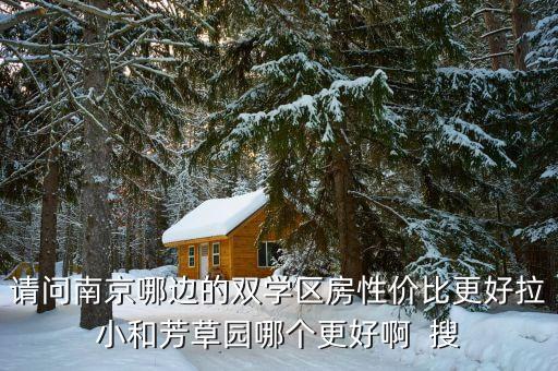江宁学区房哪个小区好，请问南京哪边的双学区房性价比更好拉小和芳草园哪个更好啊  搜