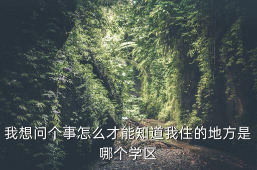 我想问个事怎么才能知道我住的地方是哪个学区