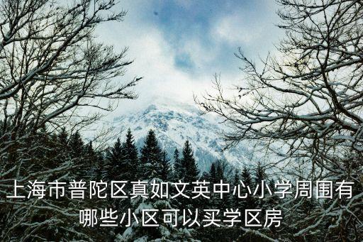 上海市普陀区真如文英中心小学周围有哪些小区可以买学区房