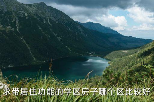 求带居住功能的学区房子哪个区比较好