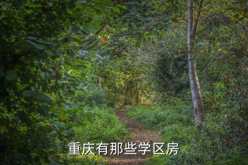 重庆有那些学区房