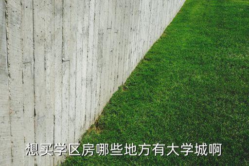 想买学区房哪些地方有大学城啊