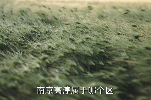 高淳区栗园路是哪个学区房，高淳雅居乐是哪一个学区