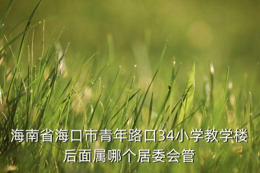 海南省海口市青年路口34小学教学楼后面属哪个居委会管