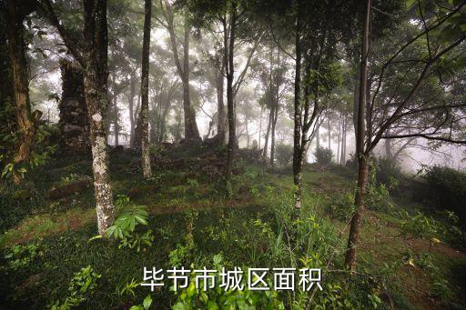 毕节市城区面积