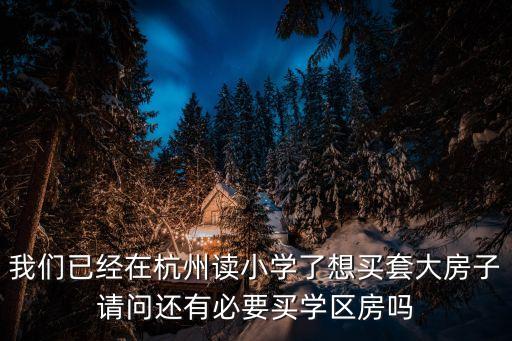 我们已经在杭州读小学了想买套大房子请问还有必要买学区房吗